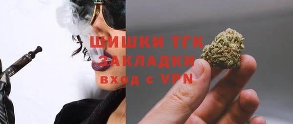 гидра Алексеевка