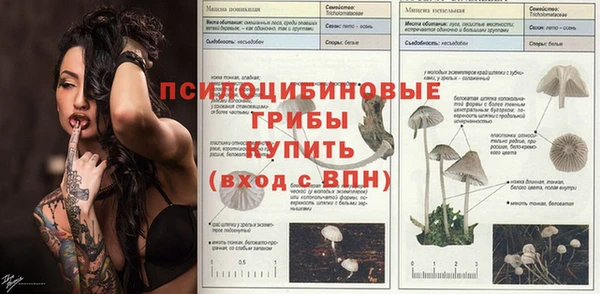 гидропоника Абдулино