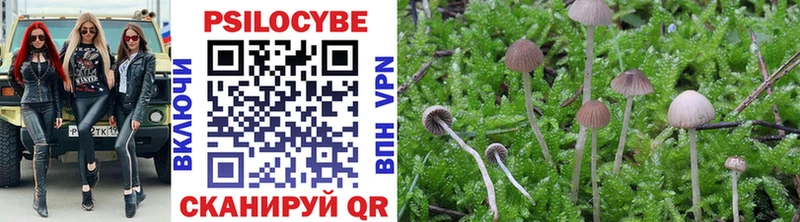 купить   Симферополь  Псилоцибиновые грибы ЛСД 